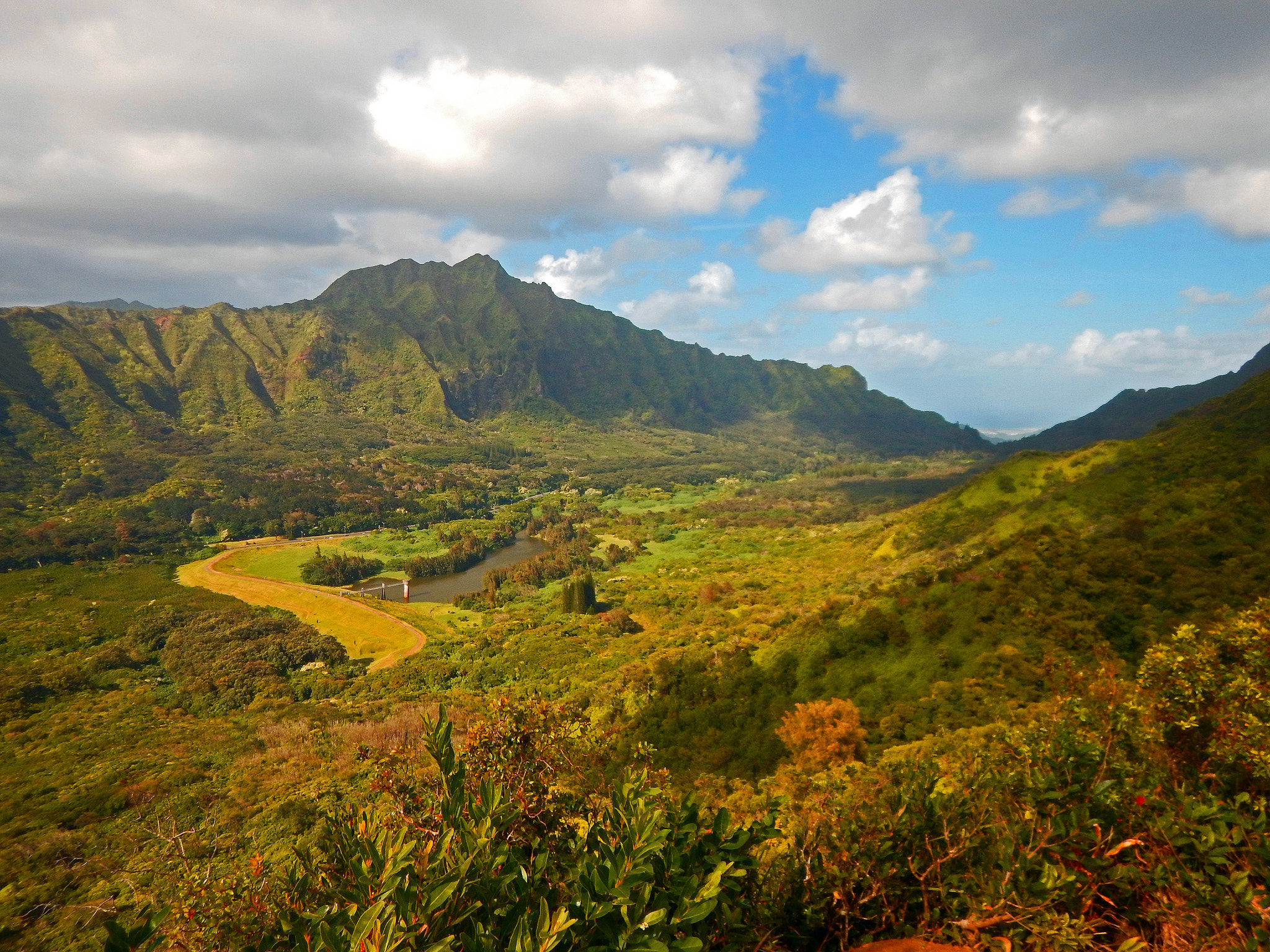 Nikon Coolpix AW130 sample photo. Aihualama trail oahu photography