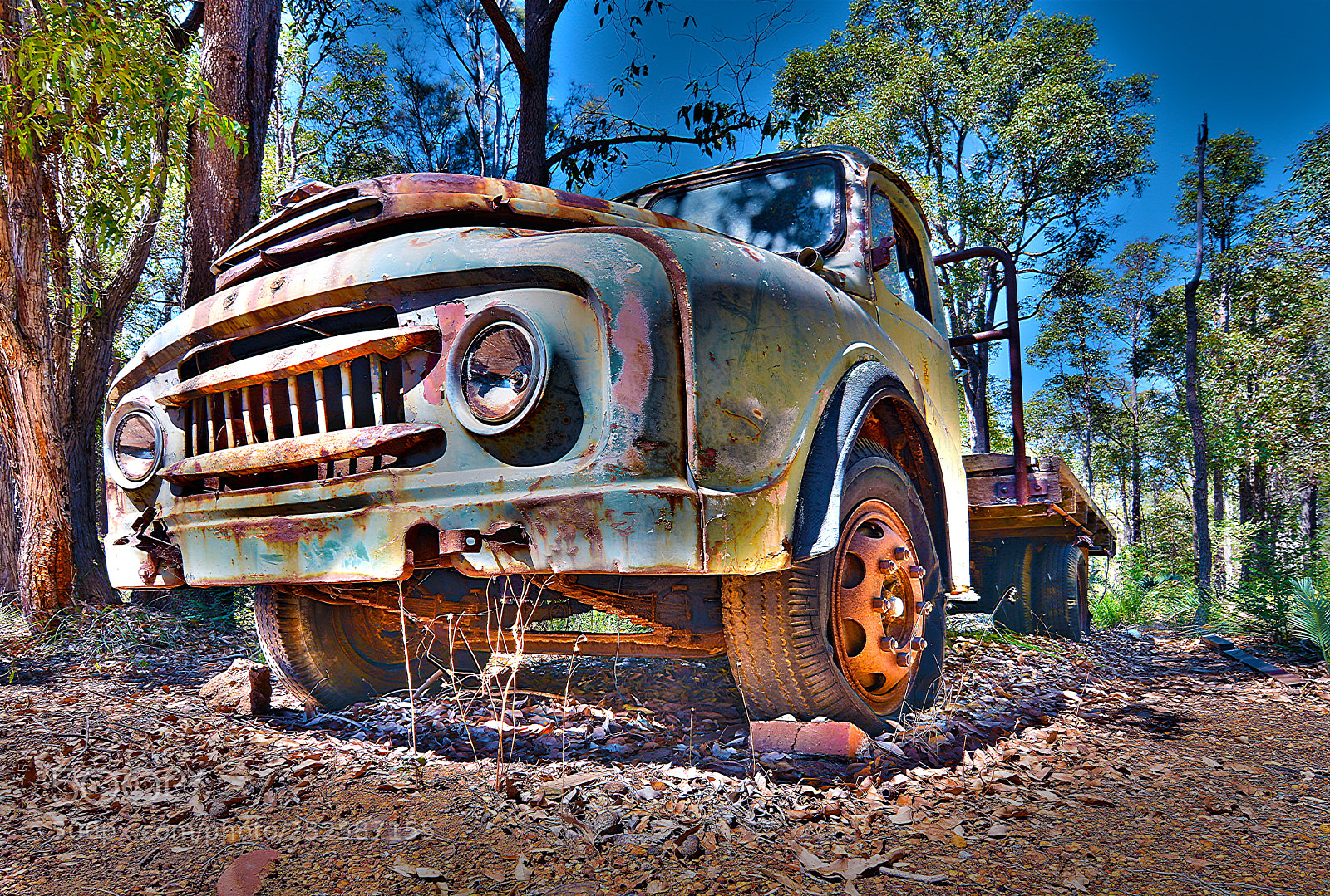 Nikon D7100 sample photo. Rusty gold photography