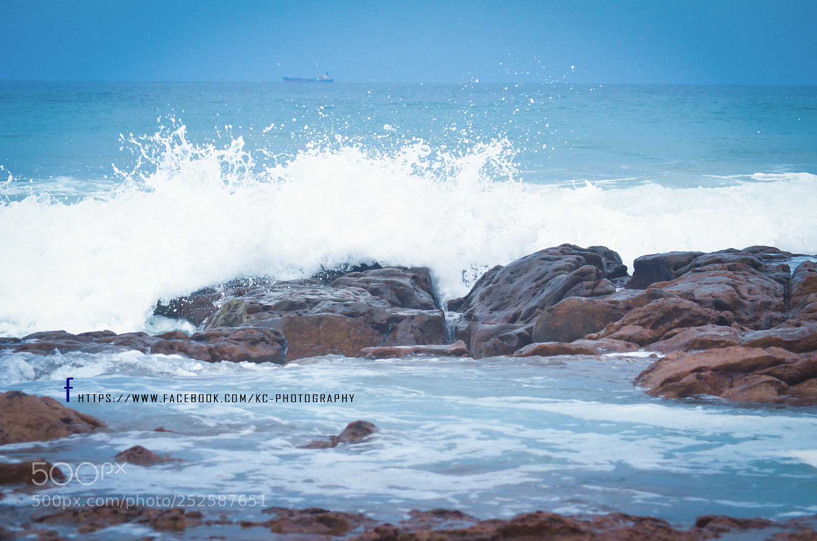 Nikon D5100 sample photo. 15.jpg photography