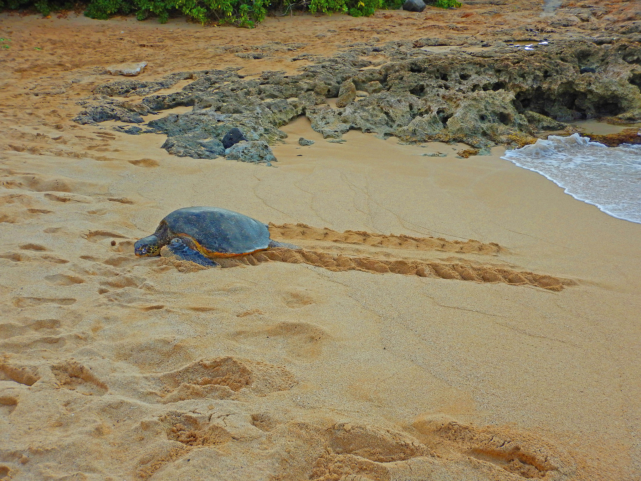 Nikon Coolpix AW130 sample photo. Hidden beach north shore oahu 4 photography