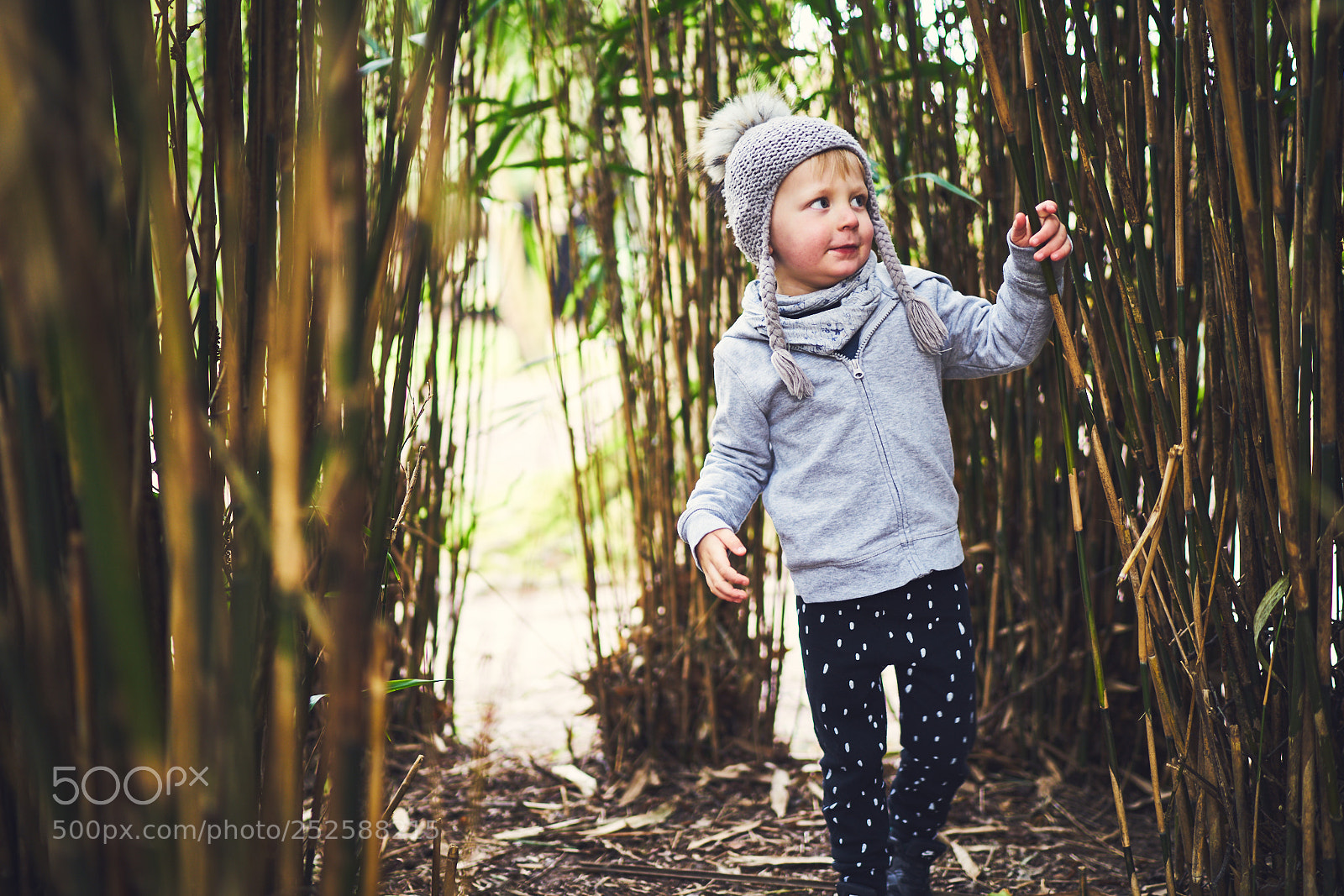 Sony a7R II sample photo. Day ninety seven photography