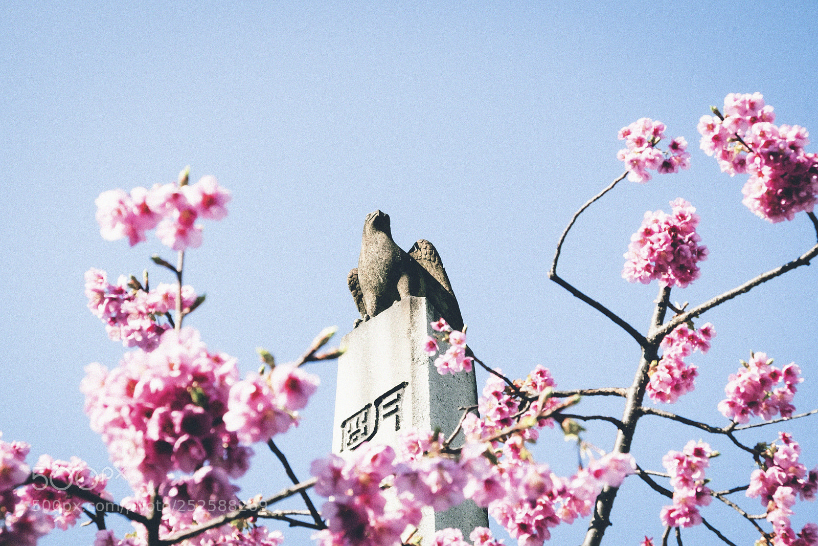 Fujifilm X-T10 sample photo. Spring photography