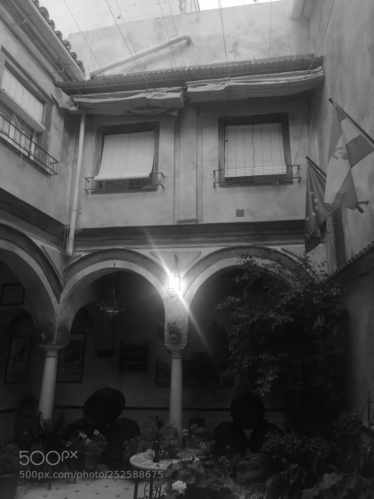 HUAWEI P10 lite sample photo. Untitled photography