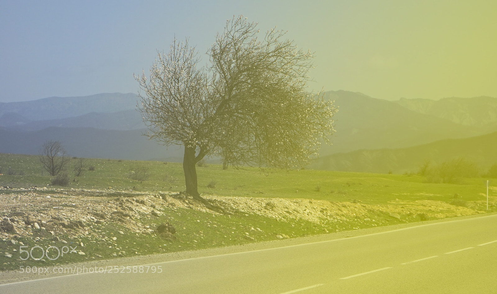 Sony a7 sample photo. Spring landscape with only photography
