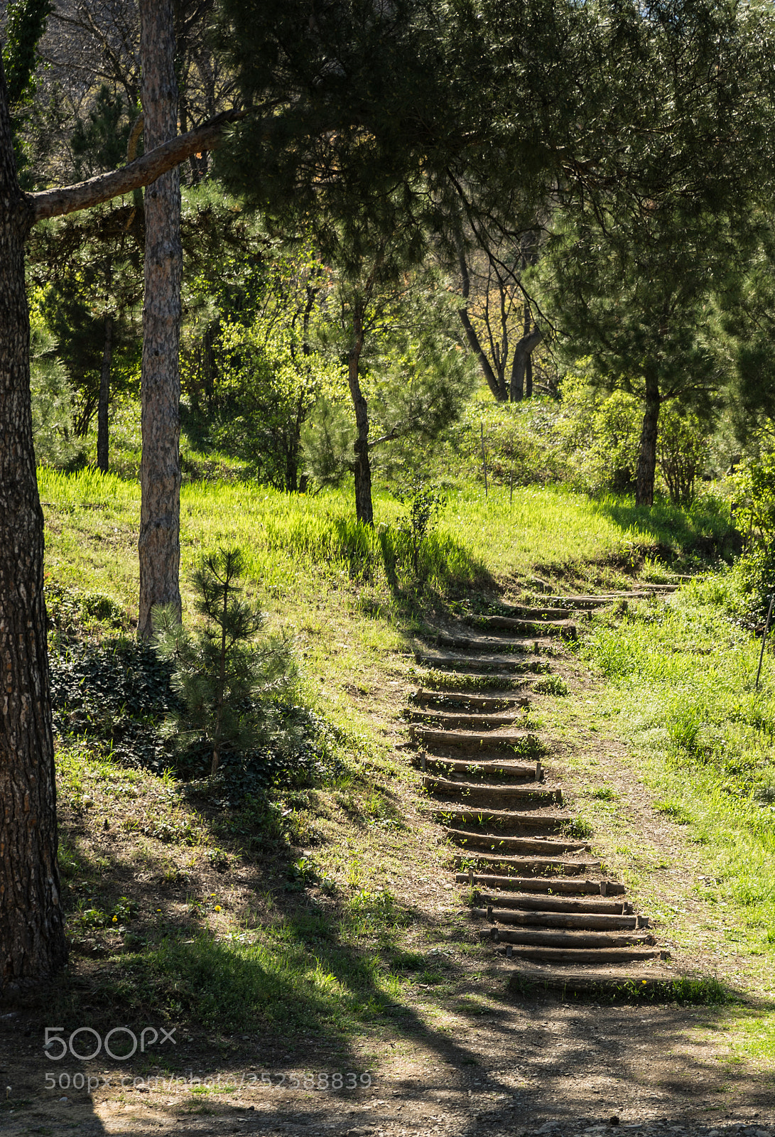 Sony a7 sample photo. Stairway in a spring photography