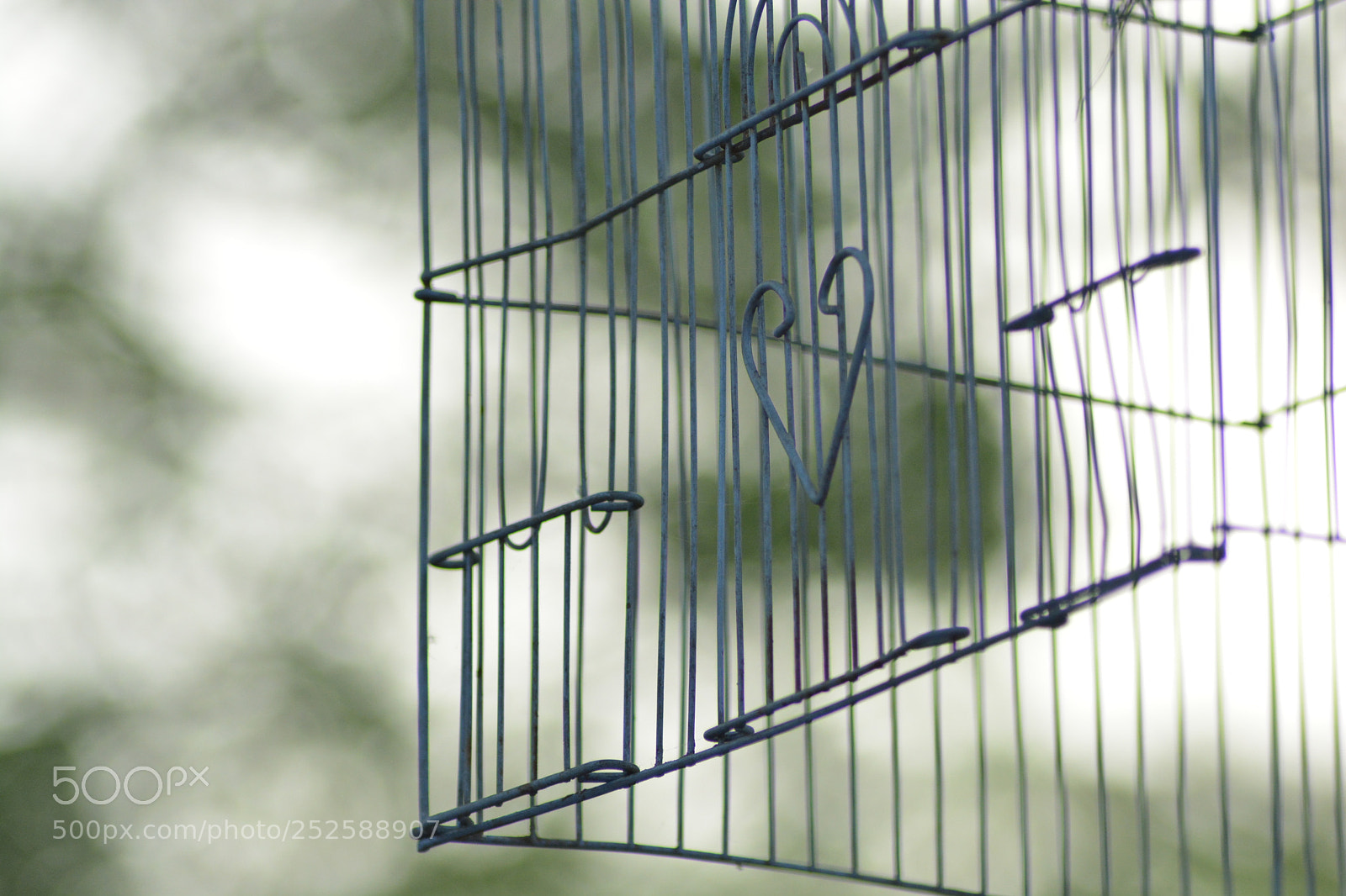 Nikon D5200 sample photo. A broken bird cage. photography