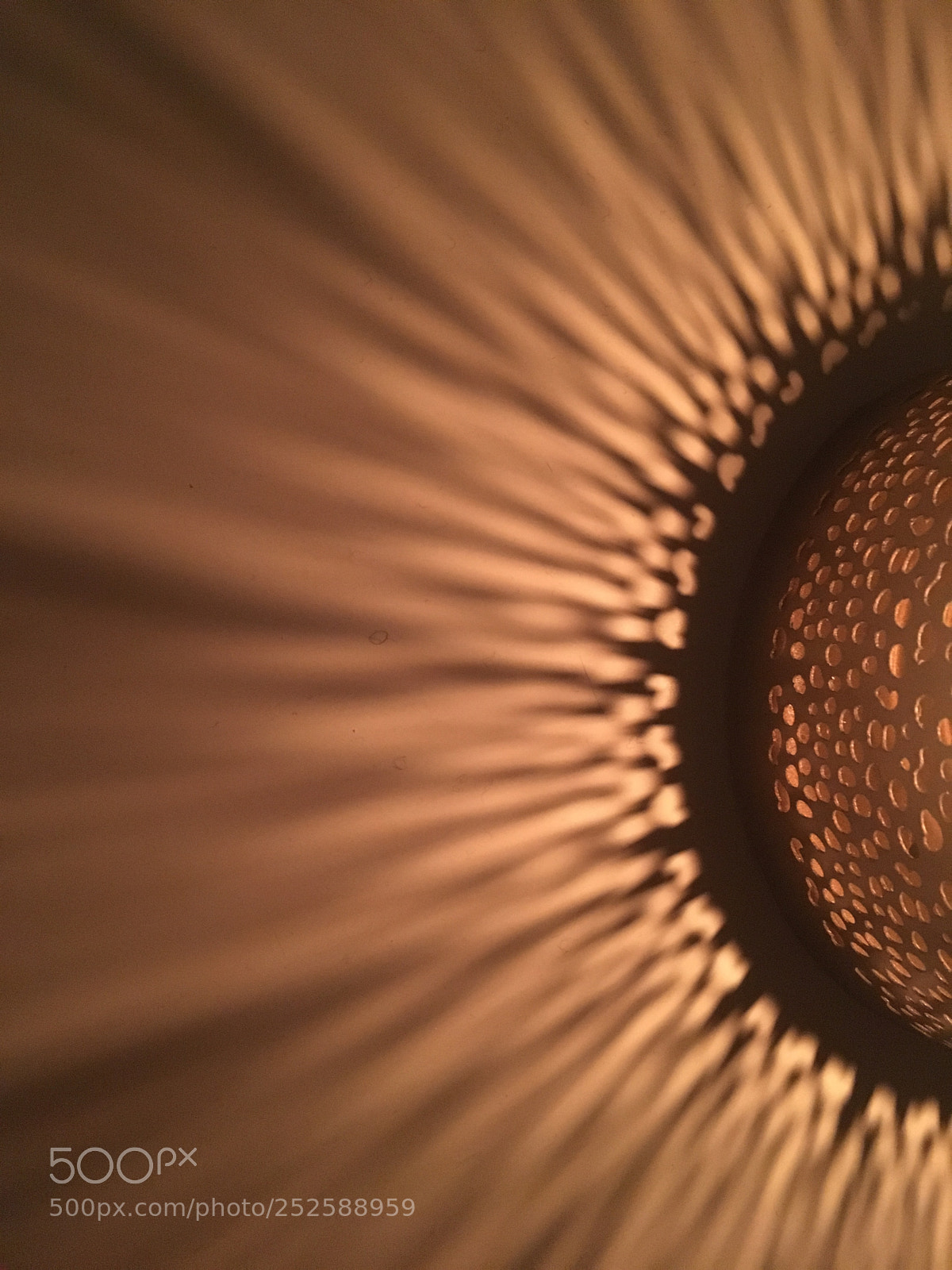 Apple iPhone 6s sample photo. Light photography