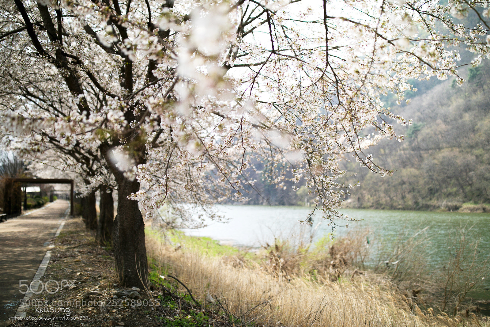 Canon EOS 5D Mark IV sample photo. Untitled photography