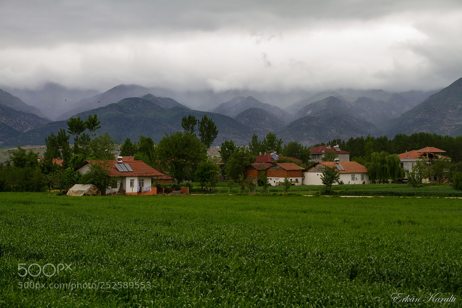 Canon EOS 7D sample photo. Spring photography