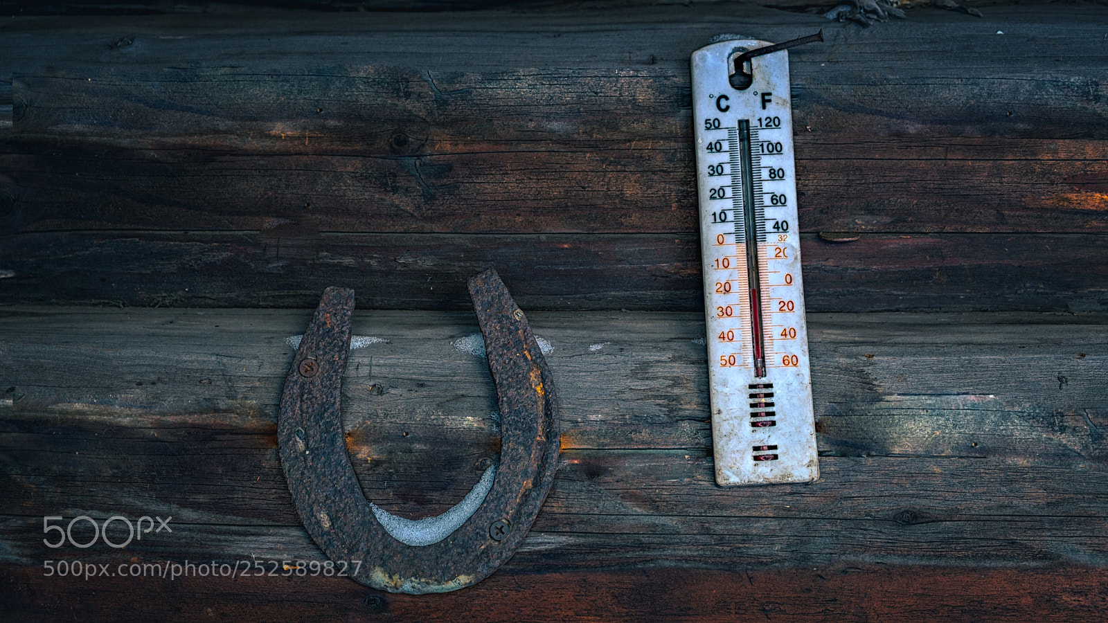 Fujifilm X-T2 sample photo. Horseshoe horse on a photography