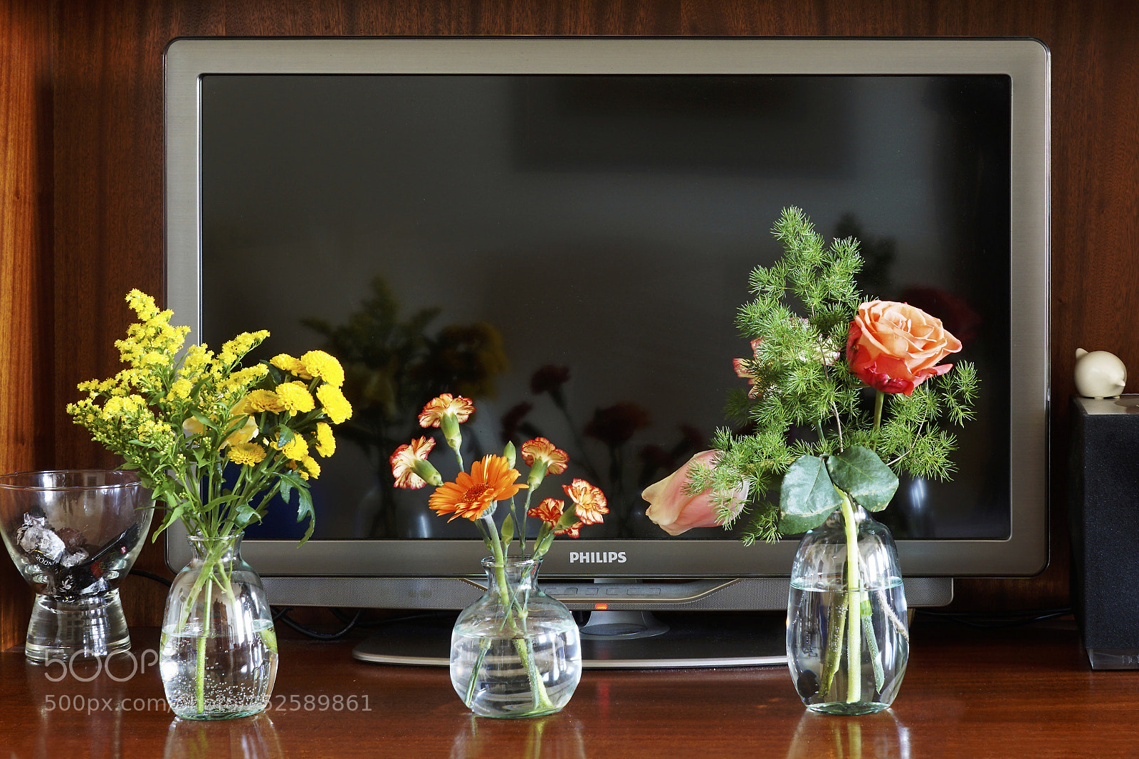 Sony ILCA-77M2 sample photo. What's on tv today? photography