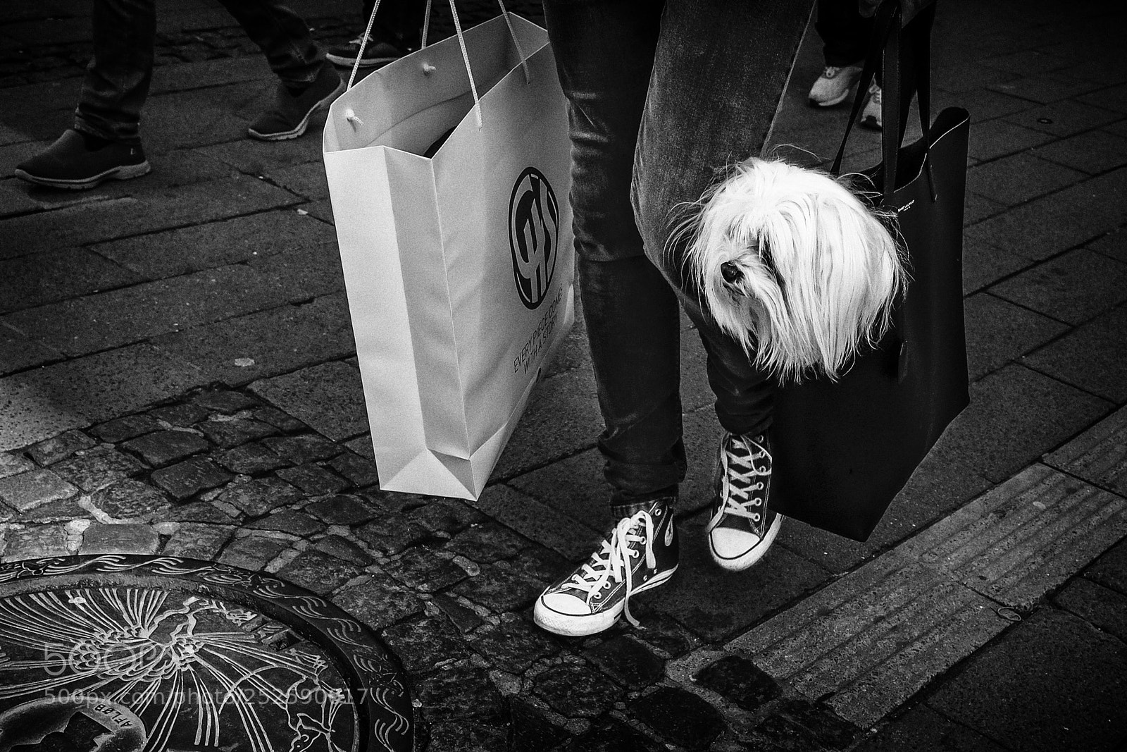 Fujifilm X-Pro2 sample photo. Images on the run... photography