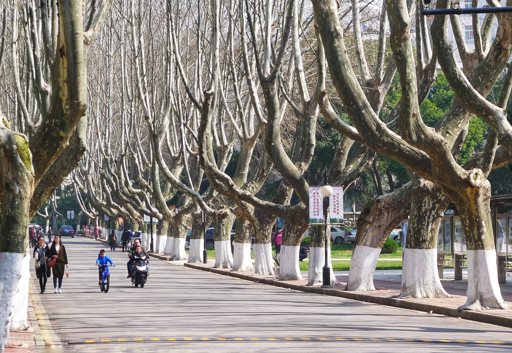Panasonic Lumix DMC-LX5 sample photo. 河海大学 photography
