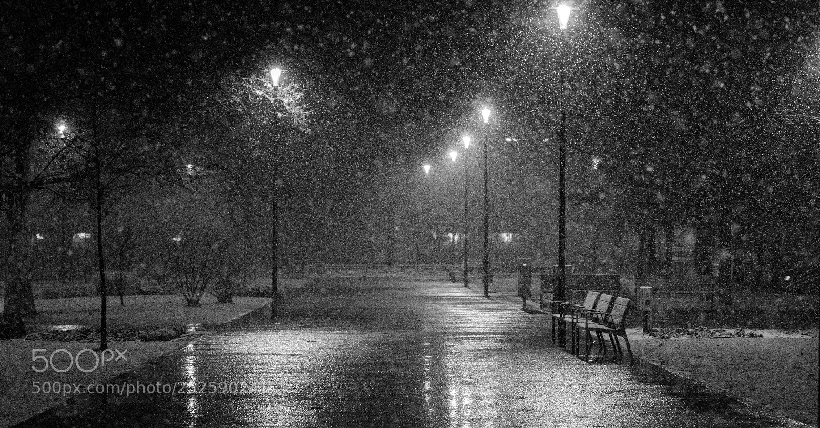 Nikon D7000 sample photo. Winter night photography