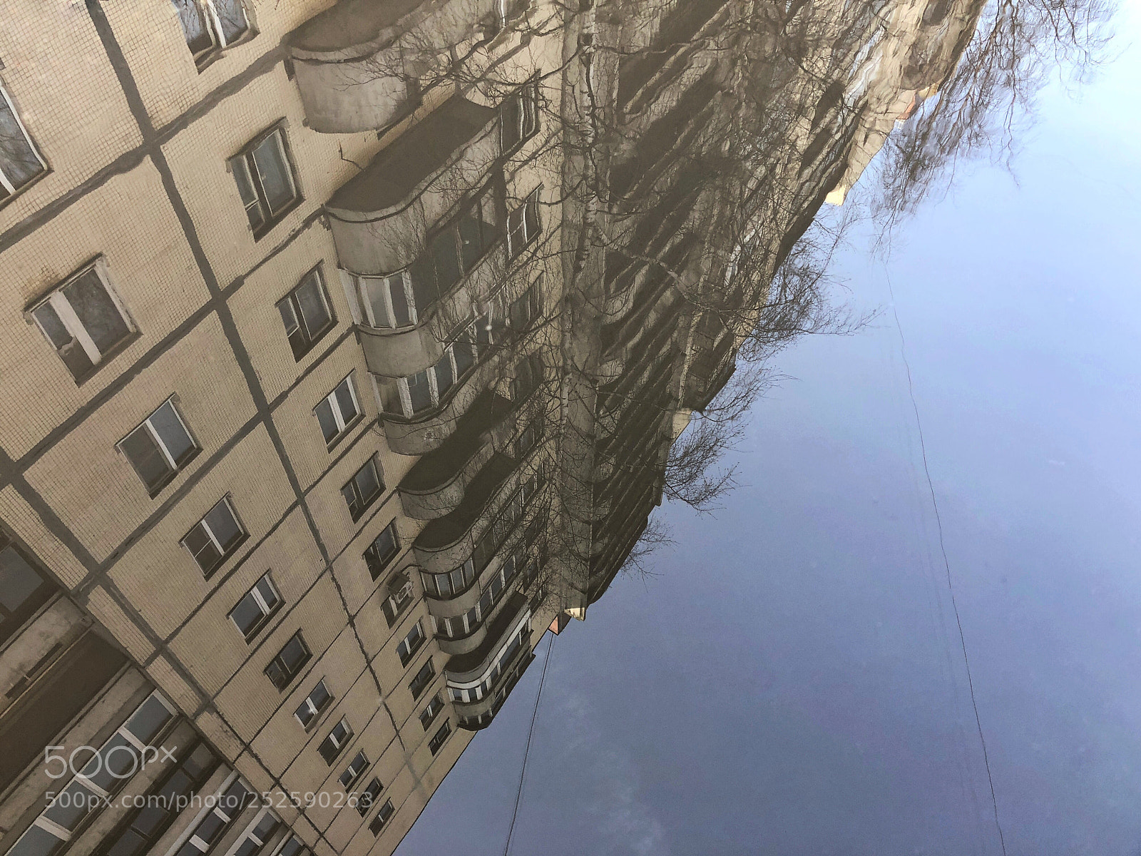 Apple iPhone 8 sample photo. Untitled photography