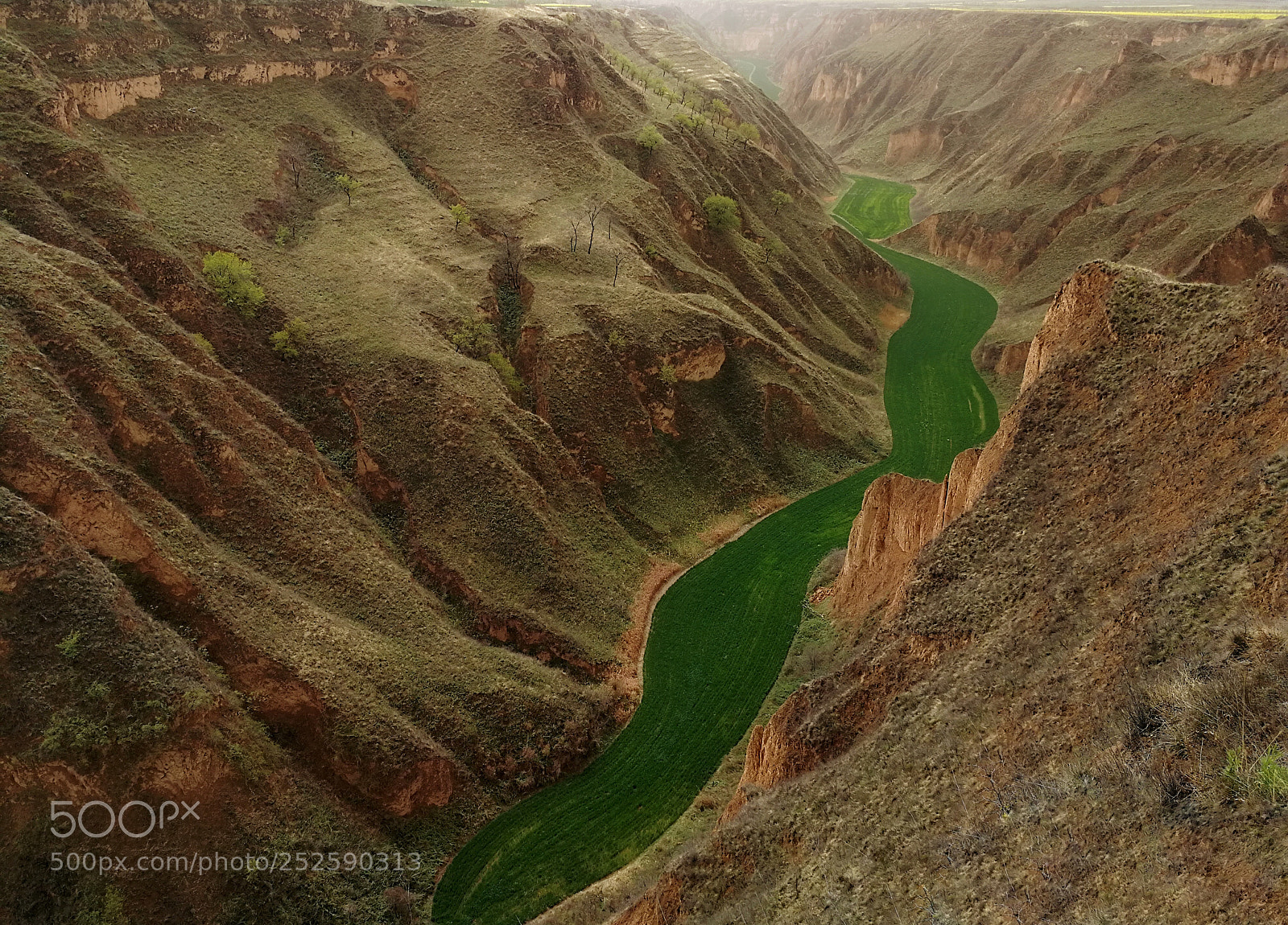 HUAWEI P10 sample photo. The green river photography
