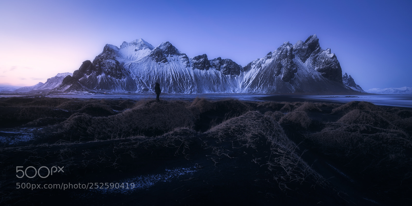 Nikon D810 sample photo. Alone in the north photography