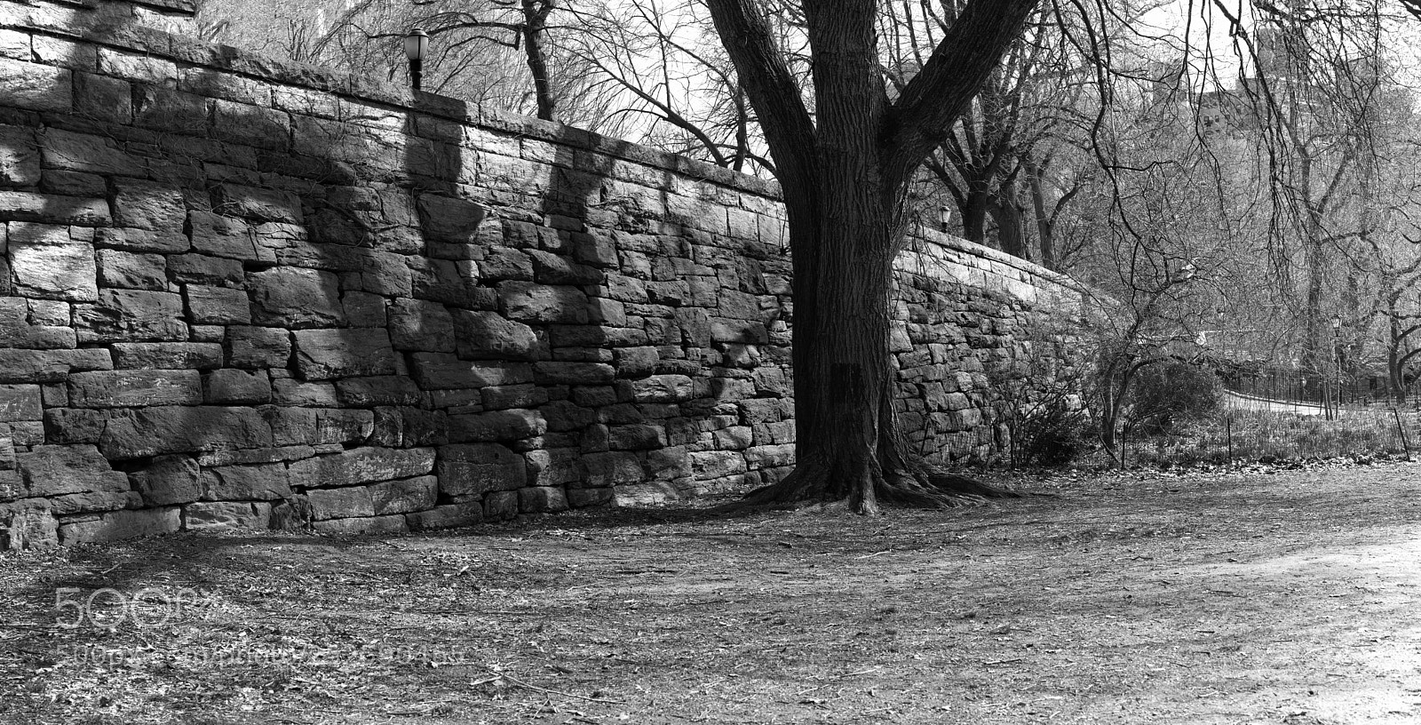 Sony a7R II sample photo. Riverside park wall photography
