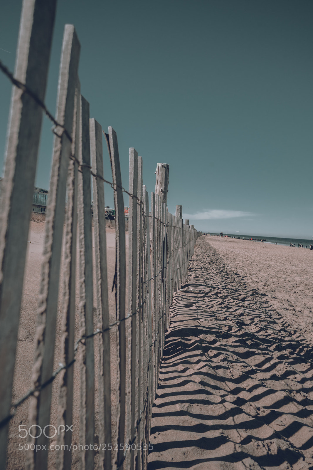 Sony a7 sample photo. Untitled photography