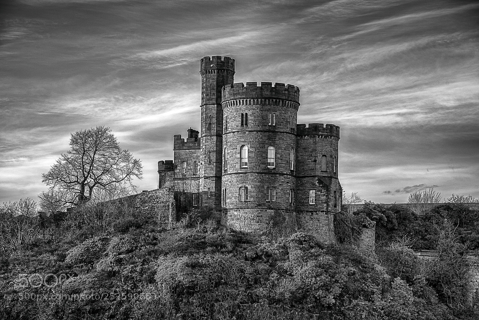 Nikon D810 sample photo. Edinburgh photography