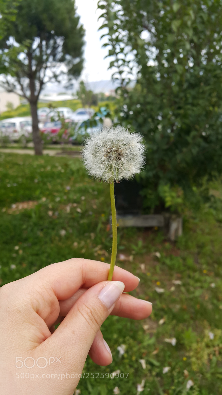 Samsung Galaxy Note4 sample photo. Flew up!!! photography