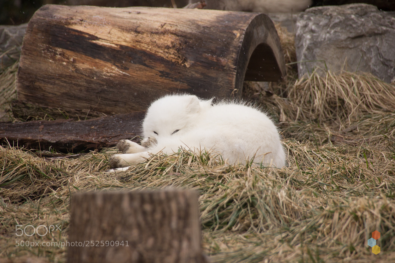 Canon EOS 600D (Rebel EOS T3i / EOS Kiss X5) sample photo. Sleep photography