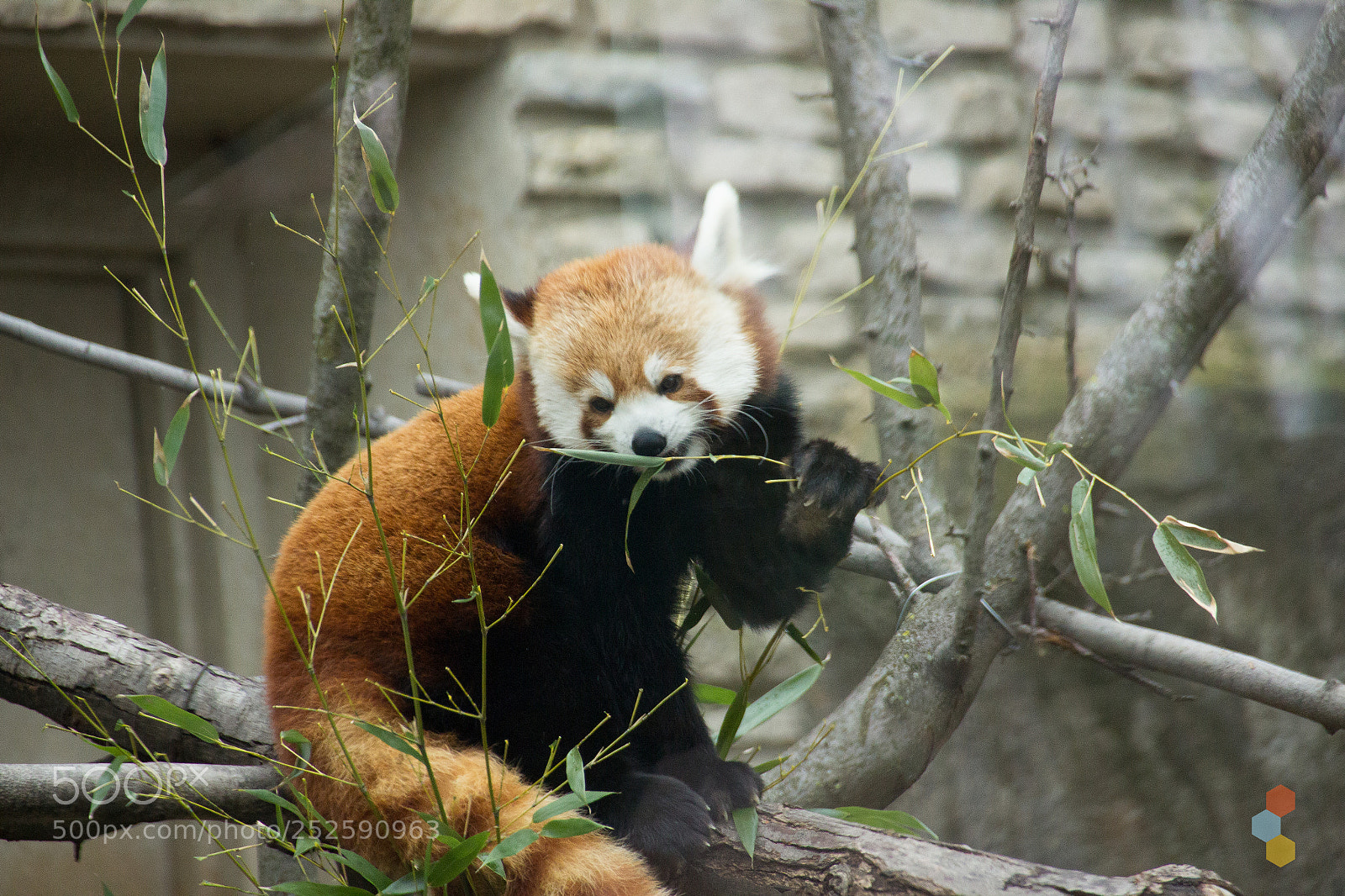 Canon EOS 600D (Rebel EOS T3i / EOS Kiss X5) sample photo. Relaxing photography