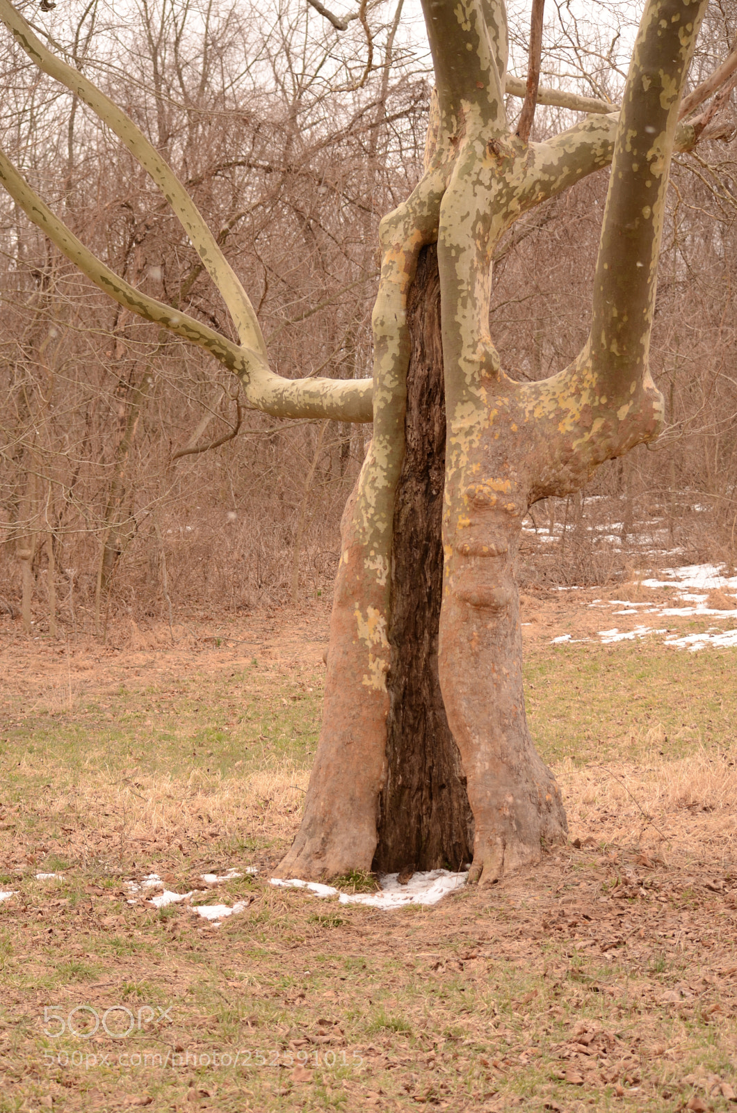 Nikon D7000 sample photo. Emergency refuge photography