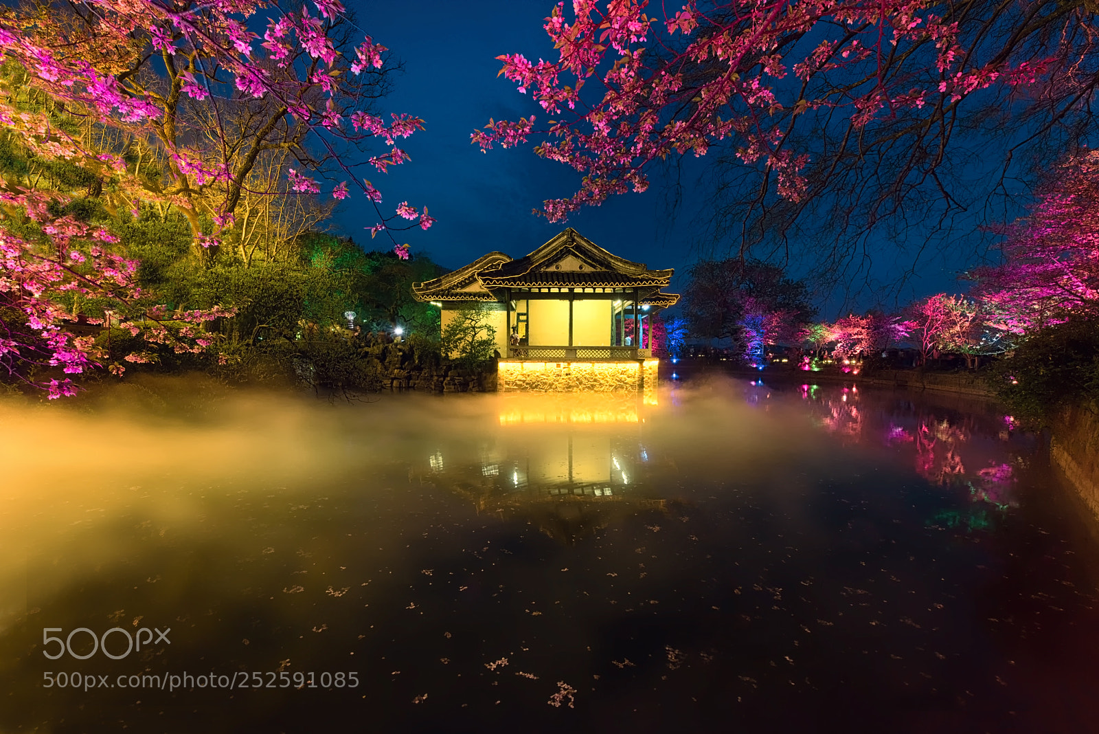 Nikon D810 sample photo. Sakula season  2018 photography