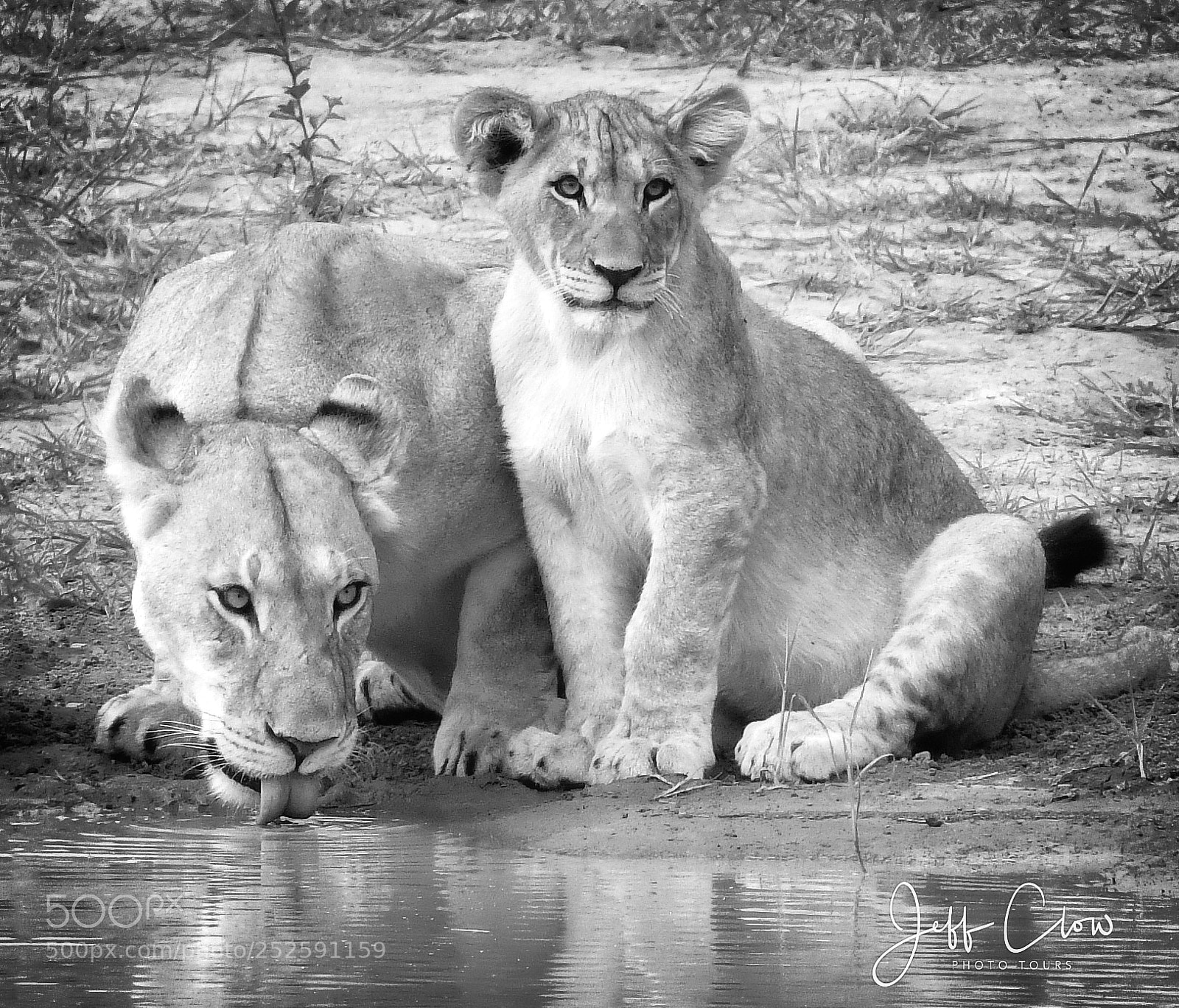 Nikon D500 sample photo. At the water's edge photography