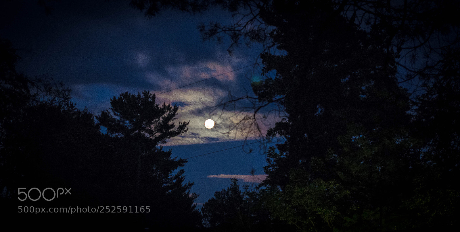 Nikon D5100 sample photo. Twilight photography