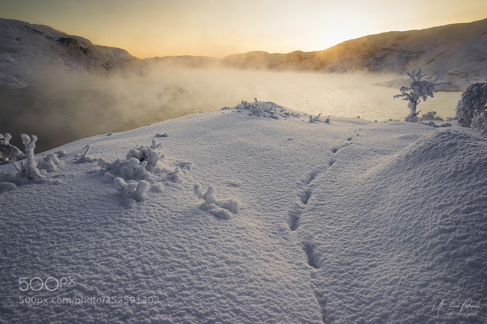 Sony a7 sample photo. Fox tracks photography