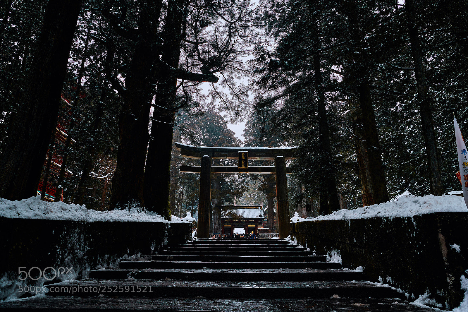 Nikon D850 sample photo. Look back photography