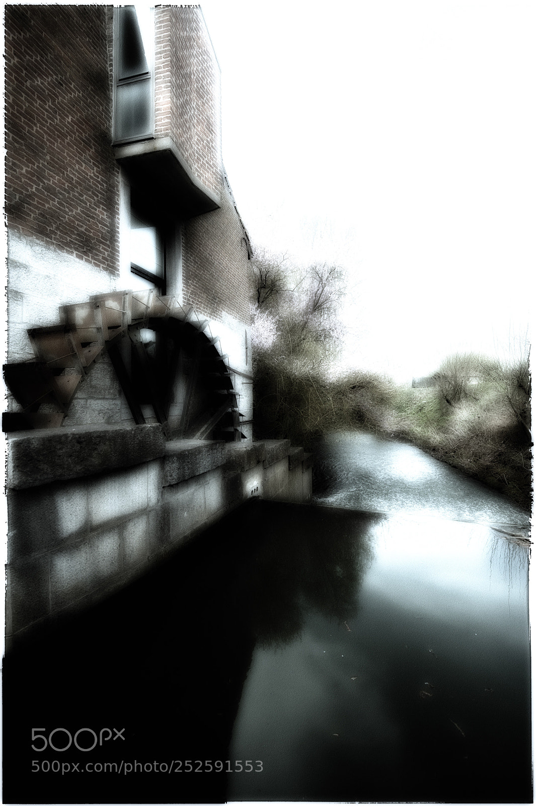 Nikon D3 sample photo. Polatransfert serie photography