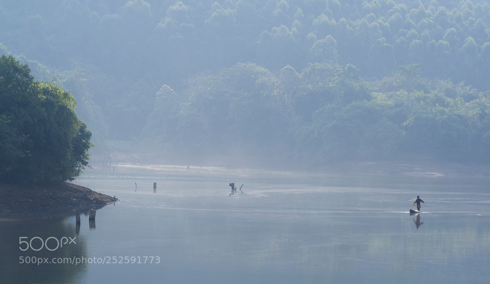 Sony a6000 sample photo. Morning hunt photography