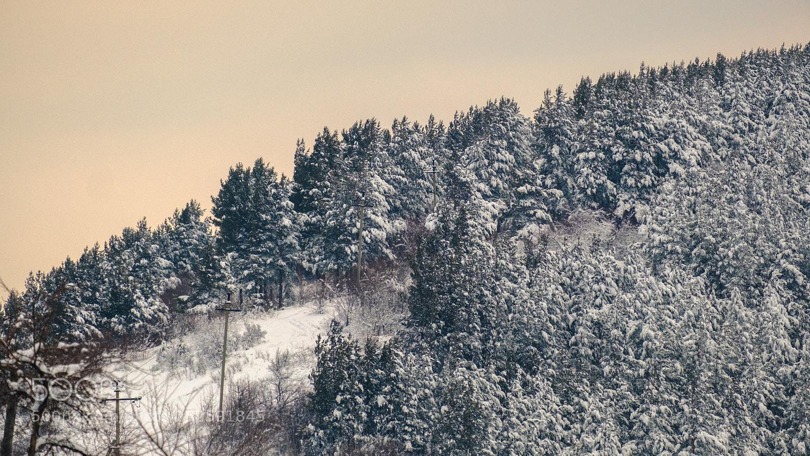 Fujifilm X-T2 sample photo. Snow-covered taiga in the photography