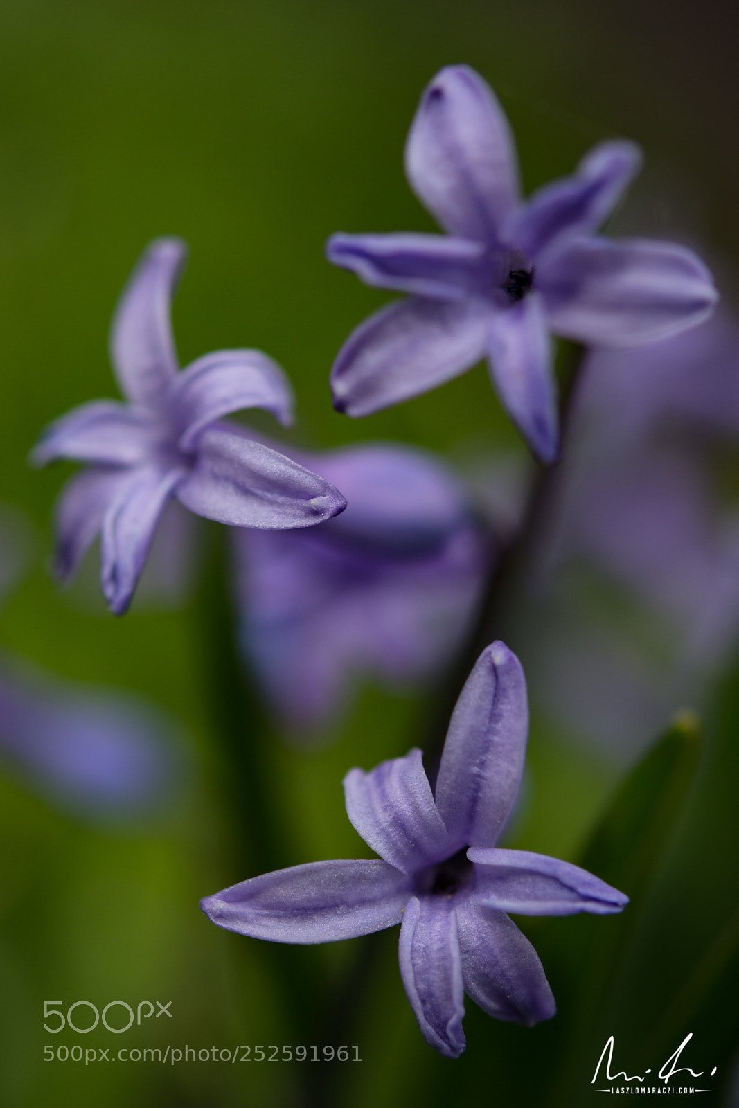 Nikon D7200 sample photo. Three photography