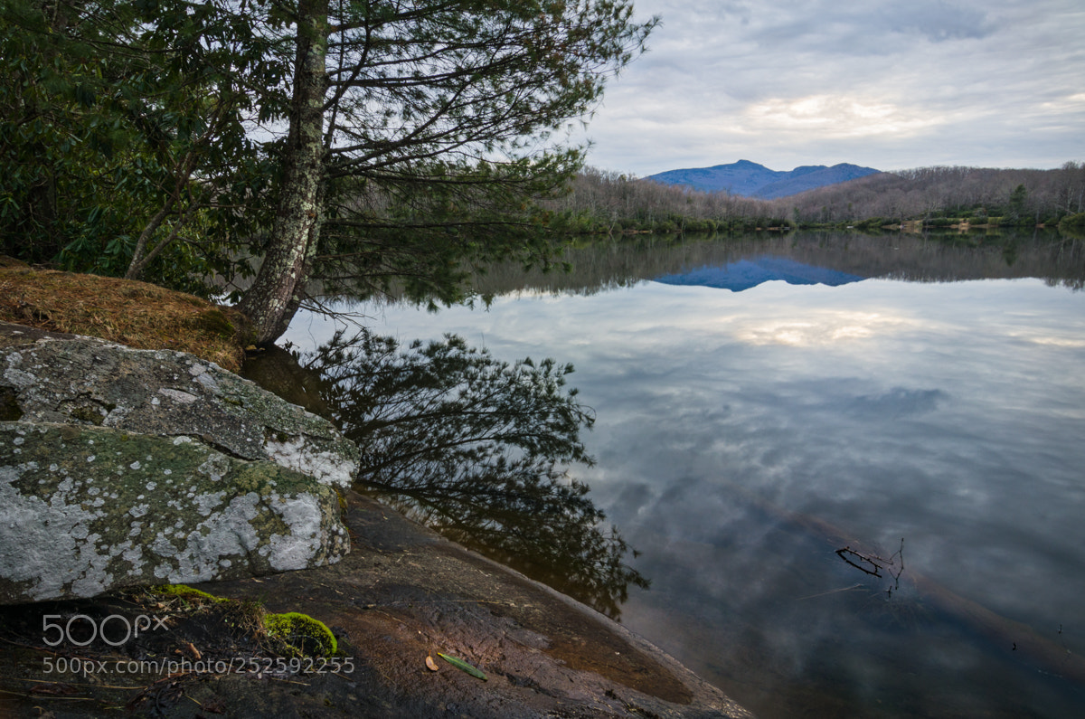 Nikon D5100 sample photo. Price lake early spring photography