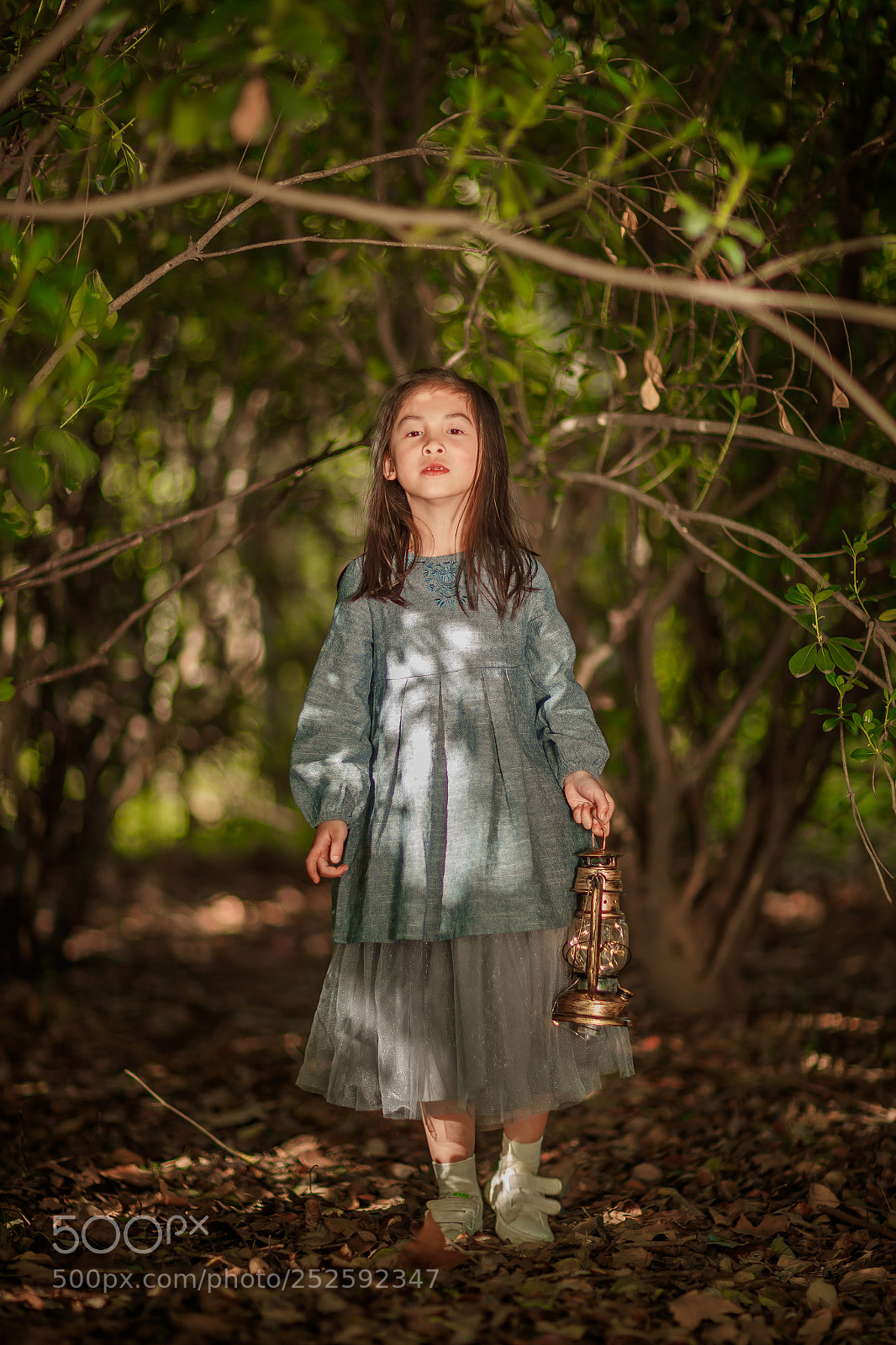 Canon EOS-1D X Mark II sample photo. Untitled photography