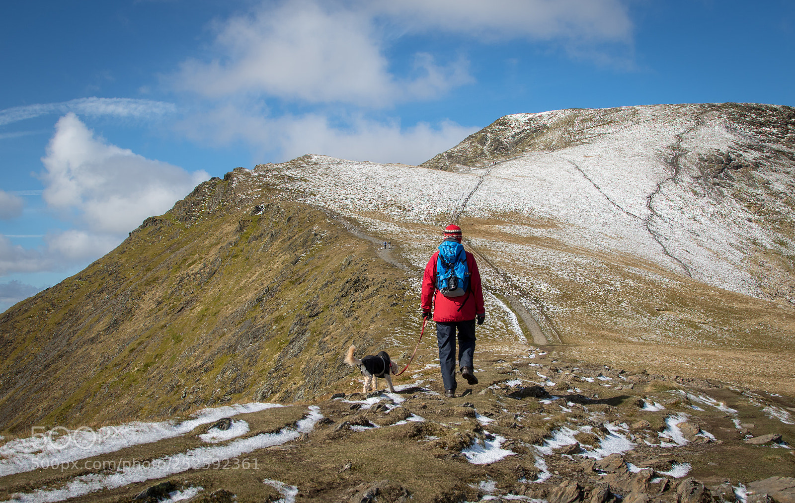 Canon EOS 7D Mark II sample photo. Path to blencathra english photography