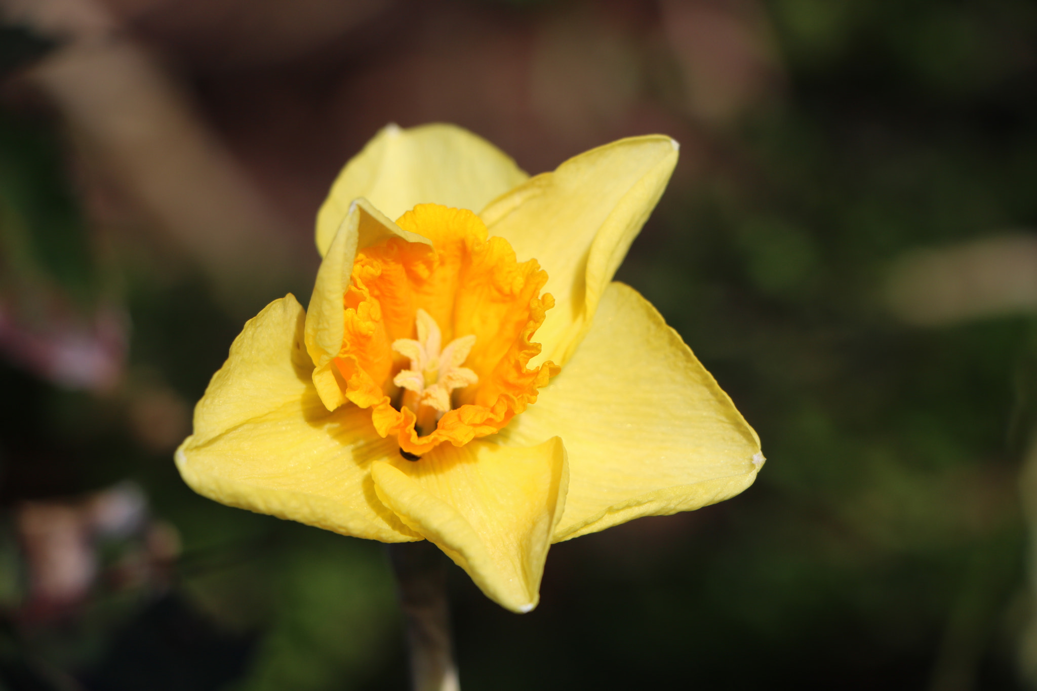 Canon EOS 760D (EOS Rebel T6s / EOS 8000D) sample photo. Splendeur photography
