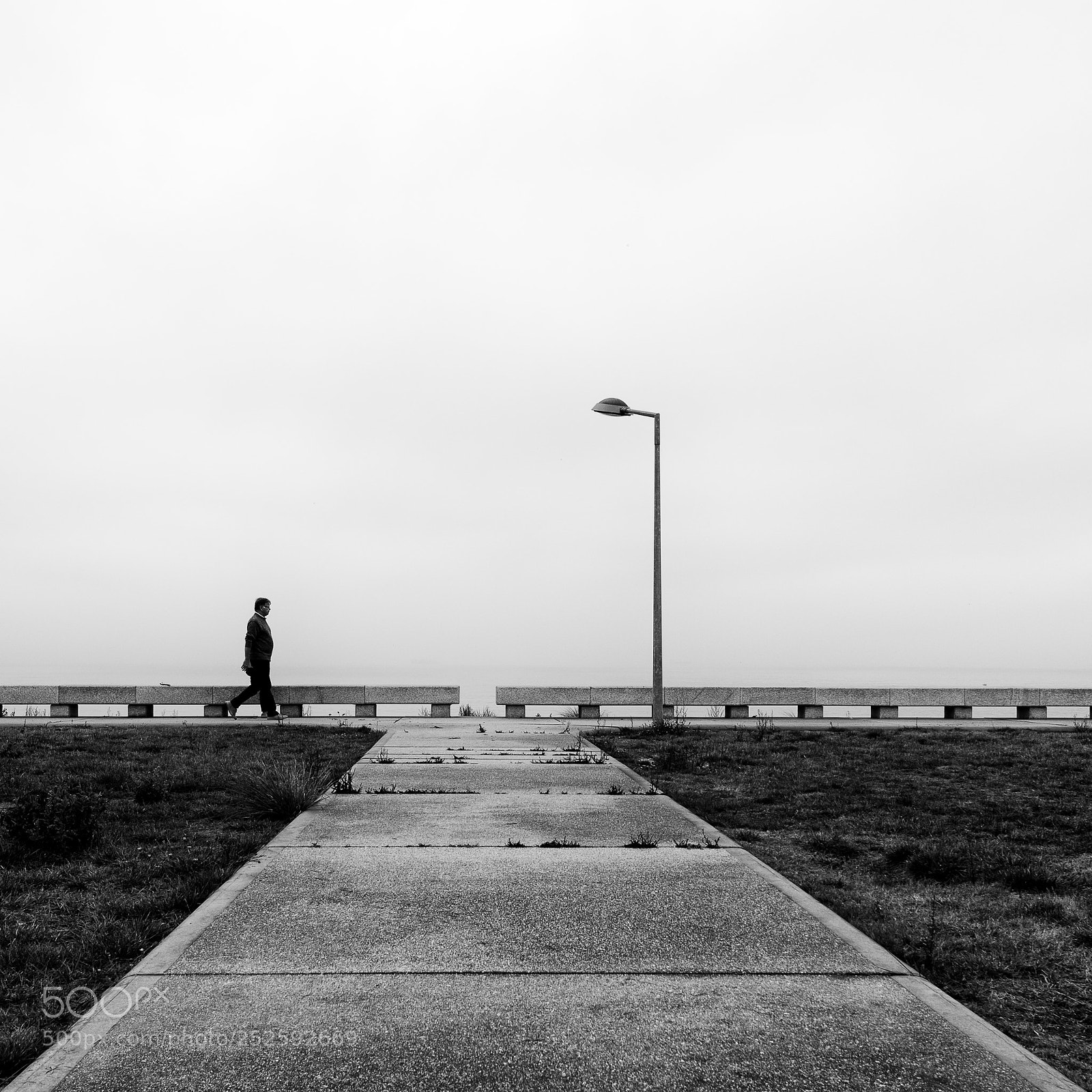 Nikon D810 sample photo. Help me make it photography