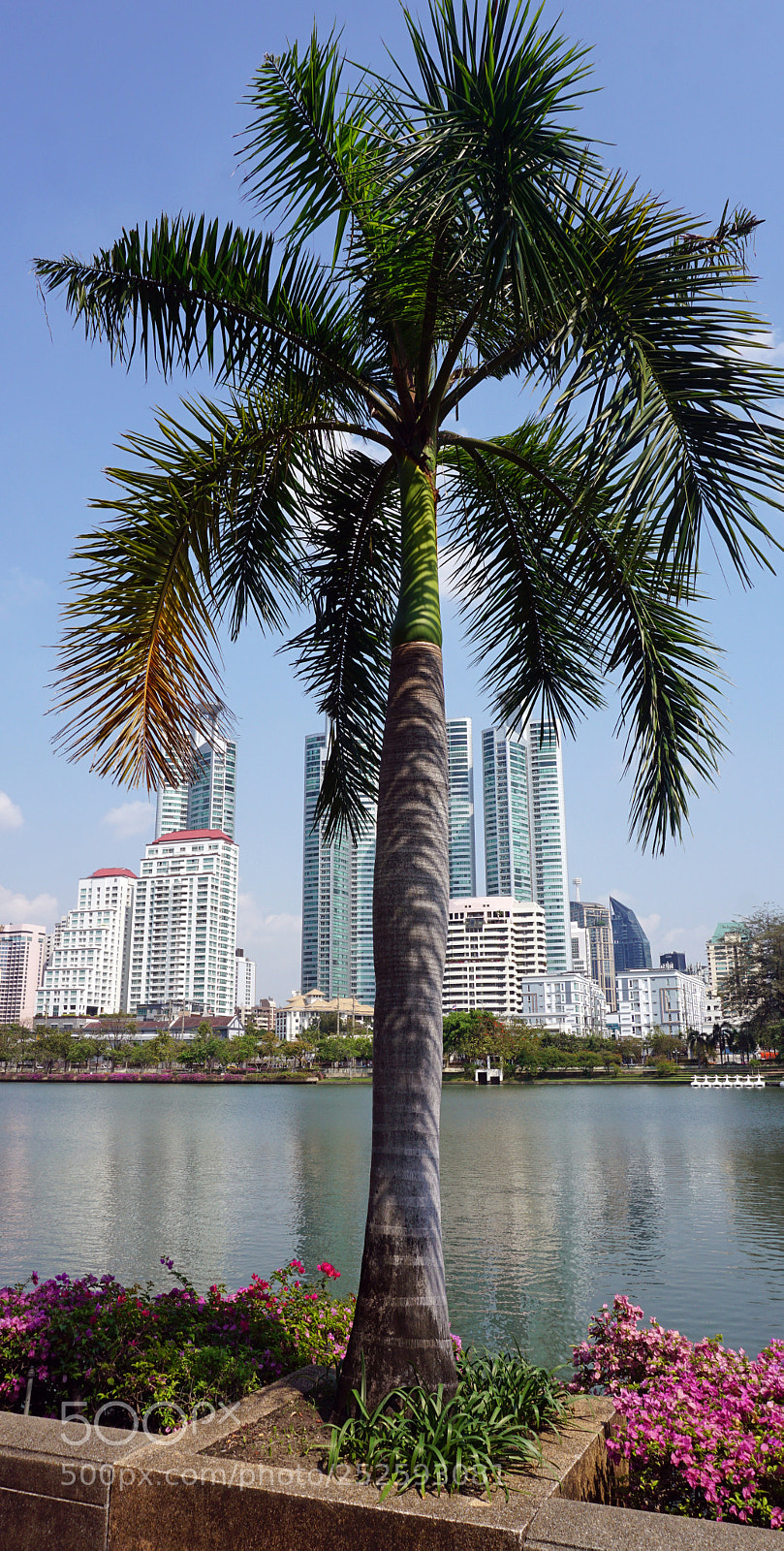 Sony a6000 sample photo. Skyscrapers of bangkok photography