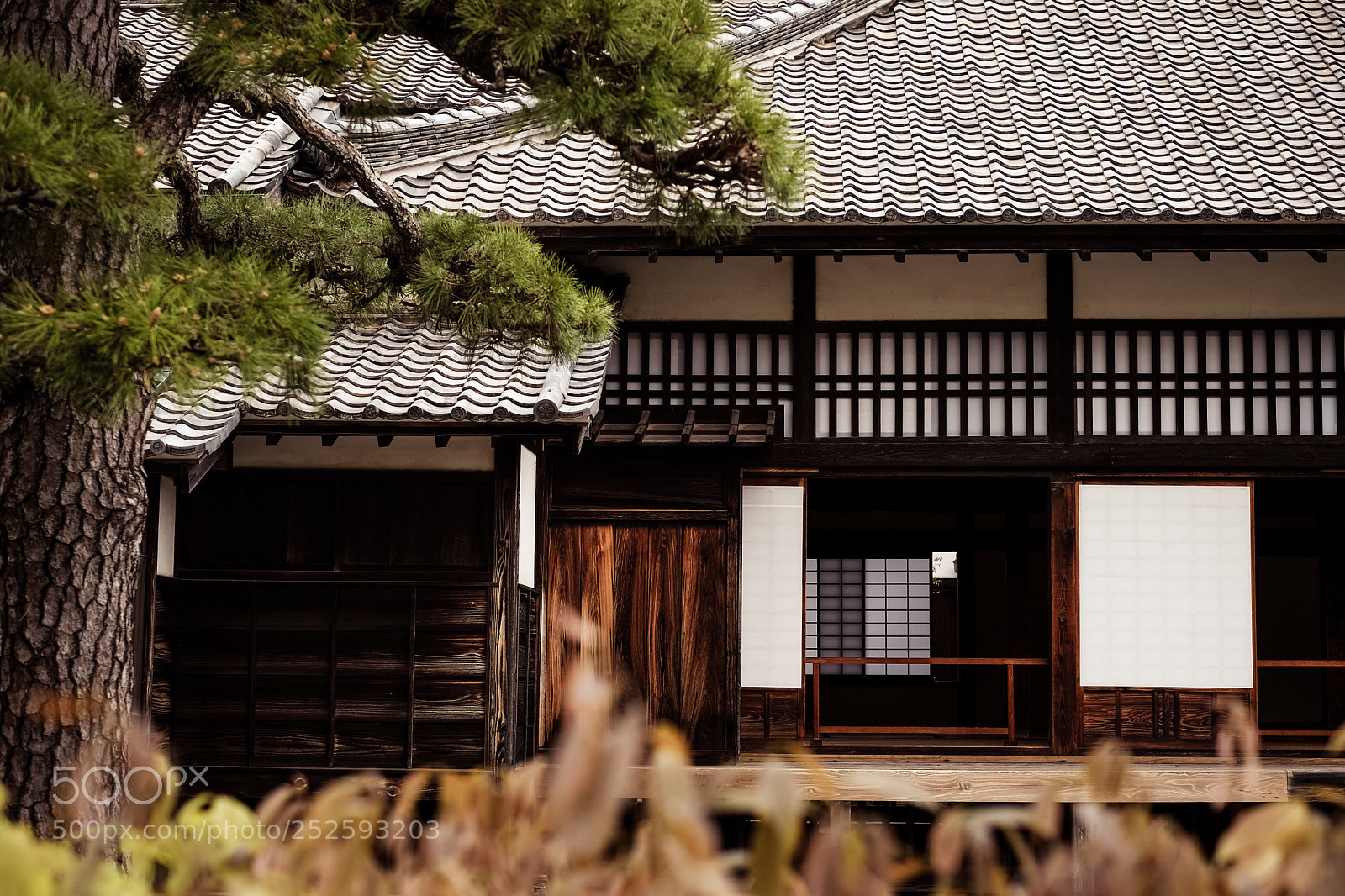 Fujifilm X-T2 sample photo. Untitled photography