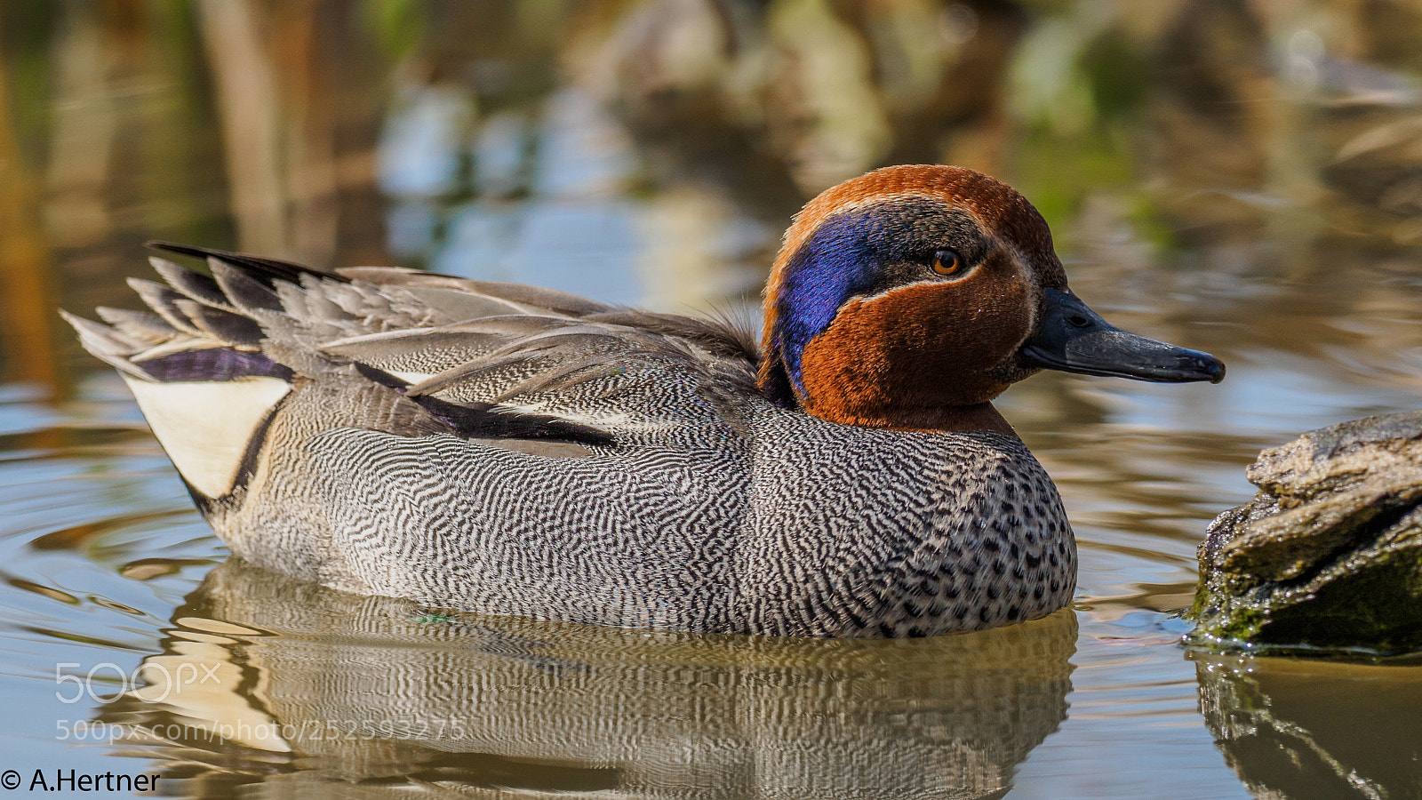 Olympus OM-D E-M5 II sample photo. Teal photography