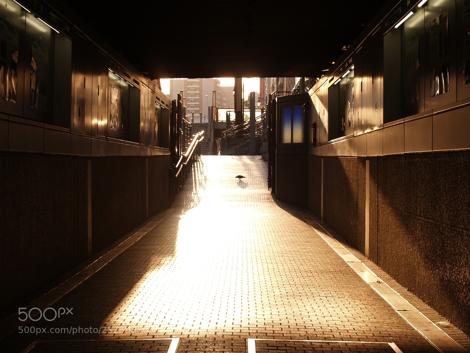 Olympus E-300 (EVOLT E-300) sample photo. A shining path photography