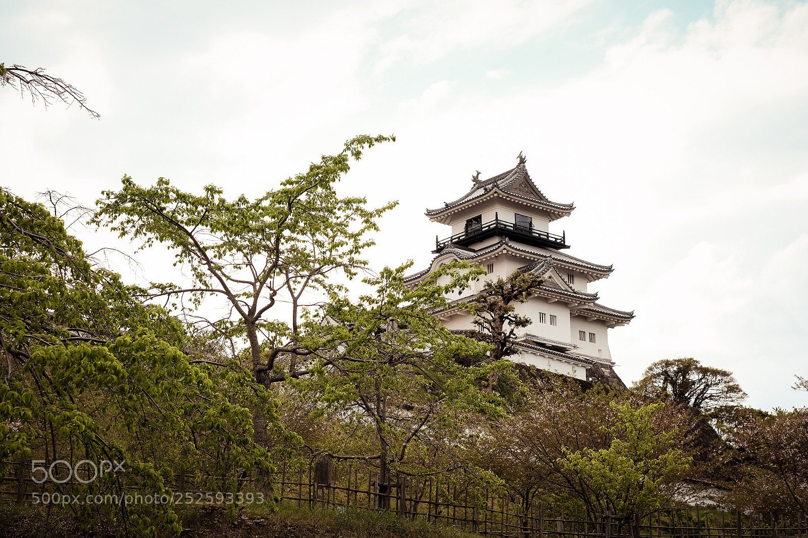 Fujifilm X-T2 sample photo. Untitled photography