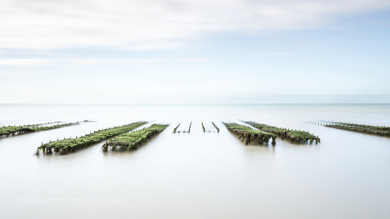 Canon EOS 700D (EOS Rebel T5i / EOS Kiss X7i) sample photo. Oysters farming photography