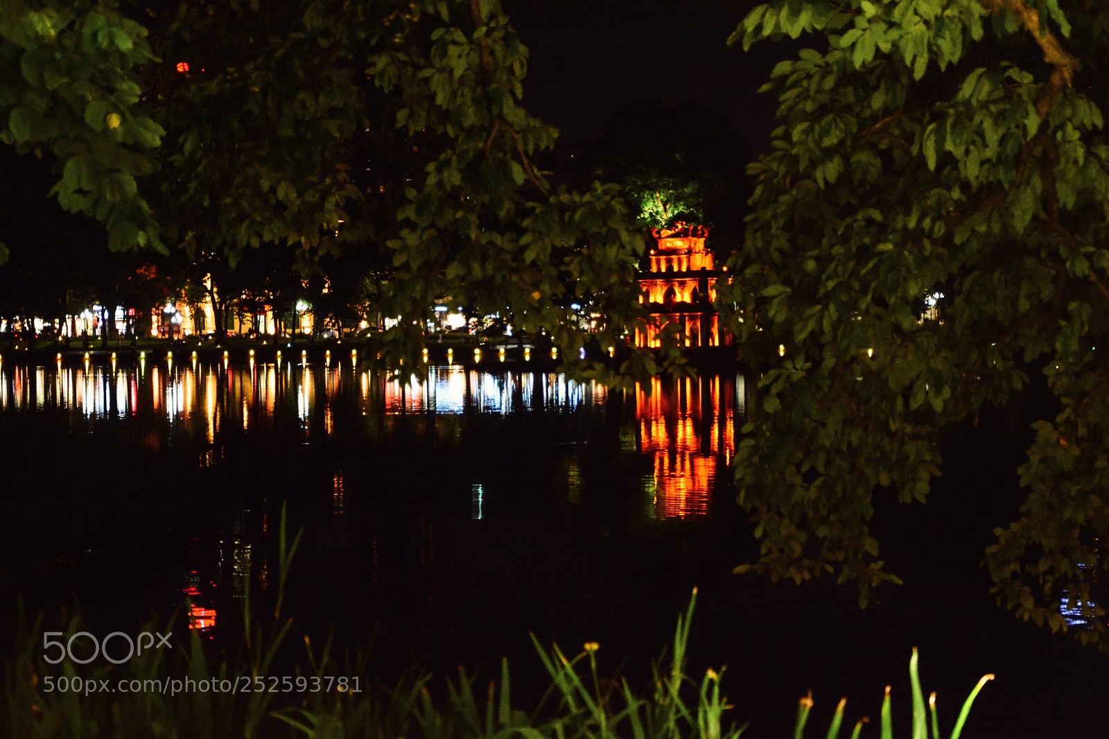 Nikon D7100 sample photo. Untitled photography