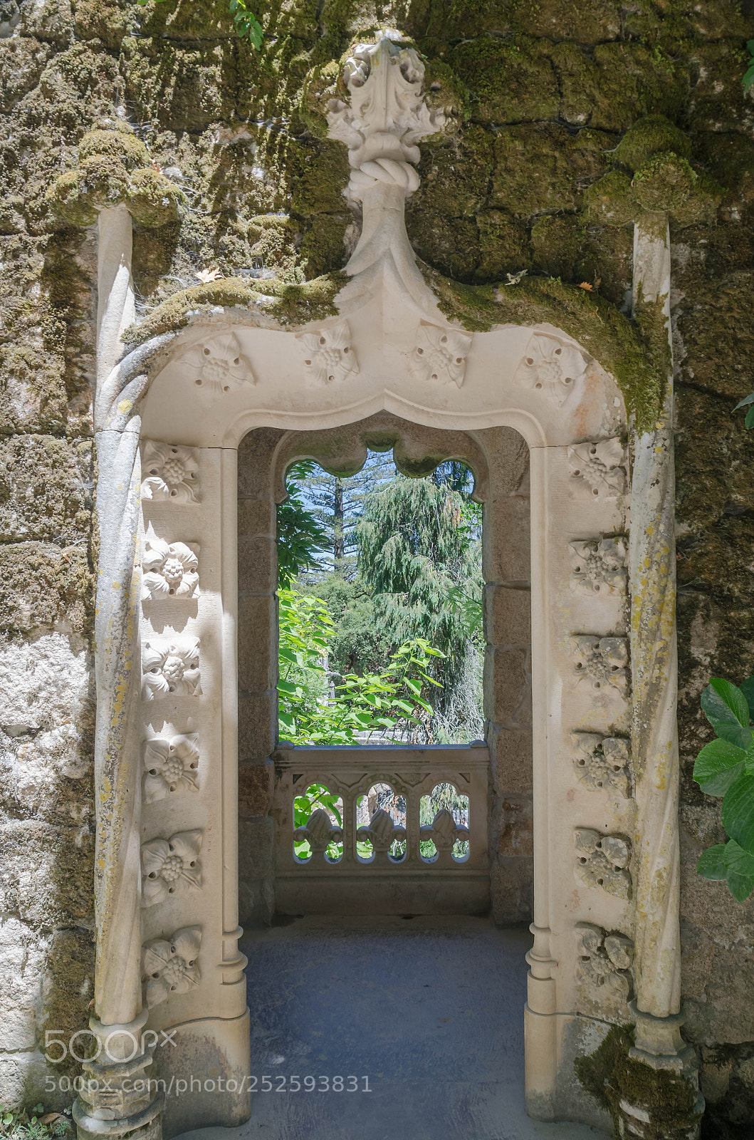 Nikon D7000 sample photo. In and out photography
